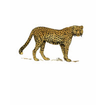 Cheetah Big Cat Wild animals Tees t-shirts by Funkart Cheetah Big Cat Wild animals Tees t-shirts