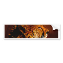 Cheetah bumper stickers