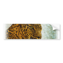 Cheetah Bumper Sticker
