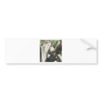 Cheetah bumper stickers by crystalreddell Cheetah bumper stickers