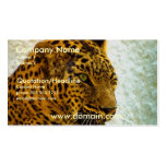 Cheetah Business Card