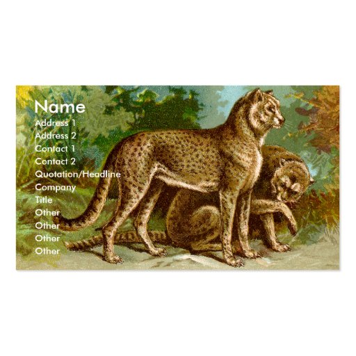 Cheetah Business Card (front side)
