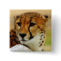Cheetah buttons