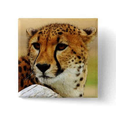 Cheetah Button by pixelholic