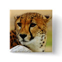 Cheetah buttons by pixelholic Cheetah buttons