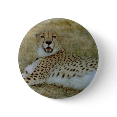 Cheetah Button by quetzal323