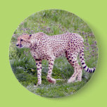 Cheetah Pin