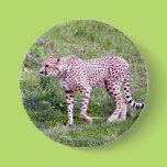 Cheetah Pins