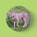 Cheetah Pinback Buttons