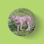Cheetah Pin