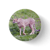 Cheetah buttons