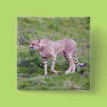 Cheetah Pin