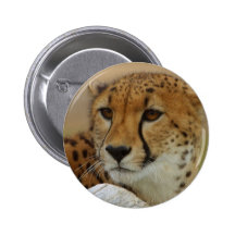 Cheetah Button