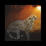 Cheetah canvas prints