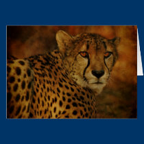 Cheetah card cards