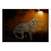 Cheetah Cards