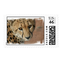 Cheetah Cat Postage Stamp