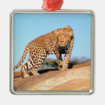 Cheetah Christmas Ornaments