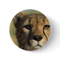 Cheetah Close-Up buttons