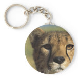 Cheetah Close-Up Keychains