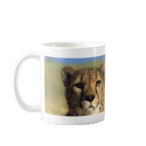 Cheetah Close-Up Mugs