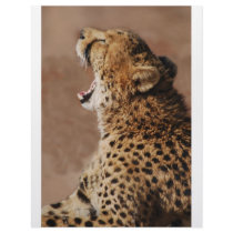 Cheetah could scare a lion letterhead design