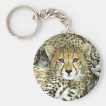 Cheetah Cub 2 Key Chain