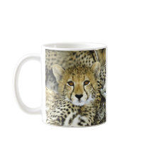 Cheetah Cub 2 Coffee Mugs