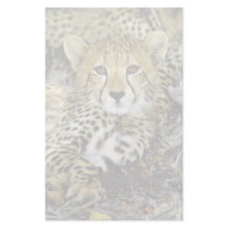 Cheetah Cub 2 Customized Stationery