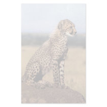Cheetah Cub 3 Stationery Design