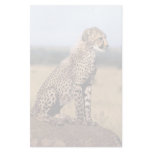 Cheetah Cub 3 Stationery Design