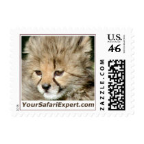 Cheetah Cub Postage Stamp (small)