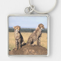 Cheetah Cubs Key Chains