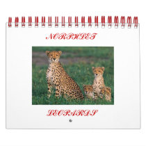 cheetah-cubs, NORPHLET, LEOPARDS calendars