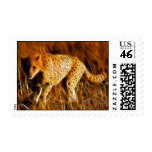 Cheetah Dash - Postage Stamp