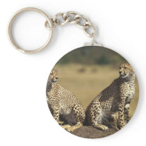Cheetah Duo Key Chain
