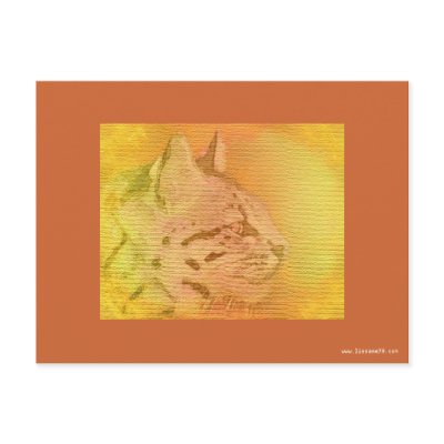 cheetah earth tones postcard by lissame73