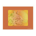 cheetah earth tones postcards by lissame73 cheetah earth tones postcards