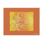 cheetah earth tones post card