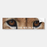 Cheetah Eyes1, SAVE THE WILDLIFE Bumper Stickers