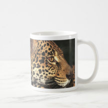 Cheetah Face Mugs