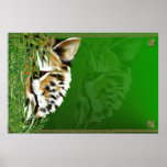 Cheetah Face Poster posters