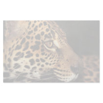 Cheetah Face Personalized Stationery