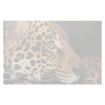 Cheetah Face Personalized Stationery