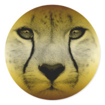 CHEETAH FACE stickers by dgpaulart CHEETAH FACE stickers