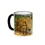 Cheetah Factoid Mug