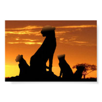 Cheetah family posters