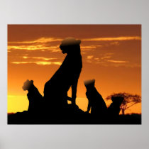 Cheetah family poster