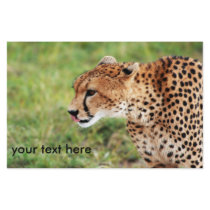 Cheetah Flyer