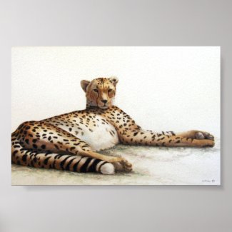 Cheetah (from $10.55) print